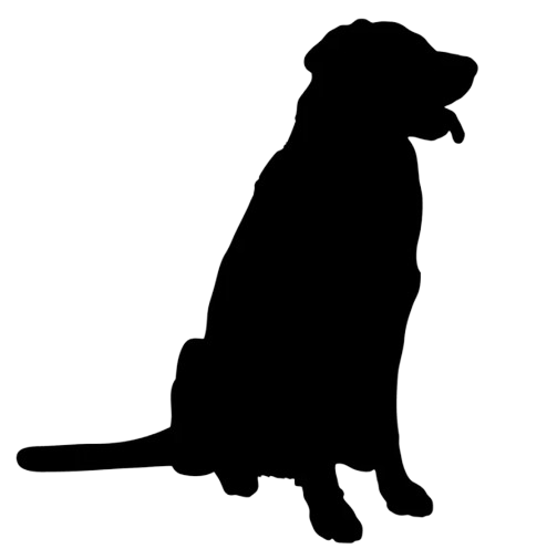 largeDogIcon