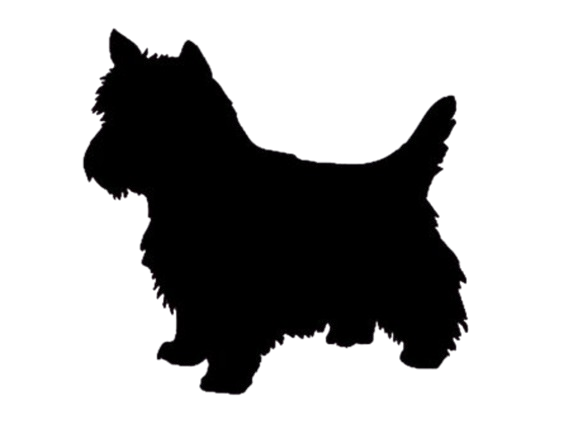 smallDogIcon